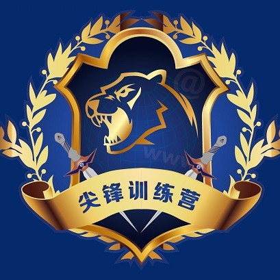 大学生网络安全尖锋训练营