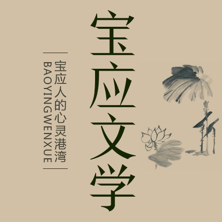 宝应文学