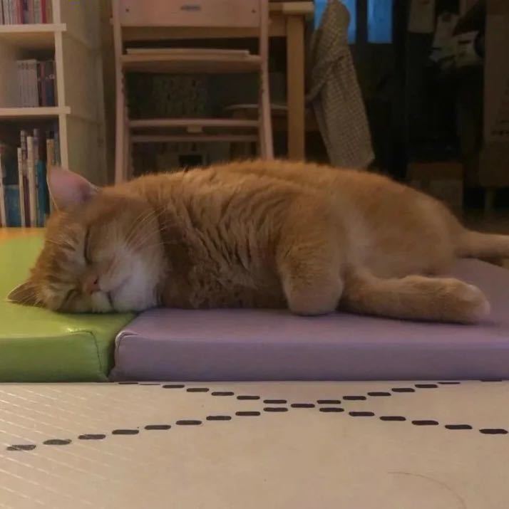 用戶頭像