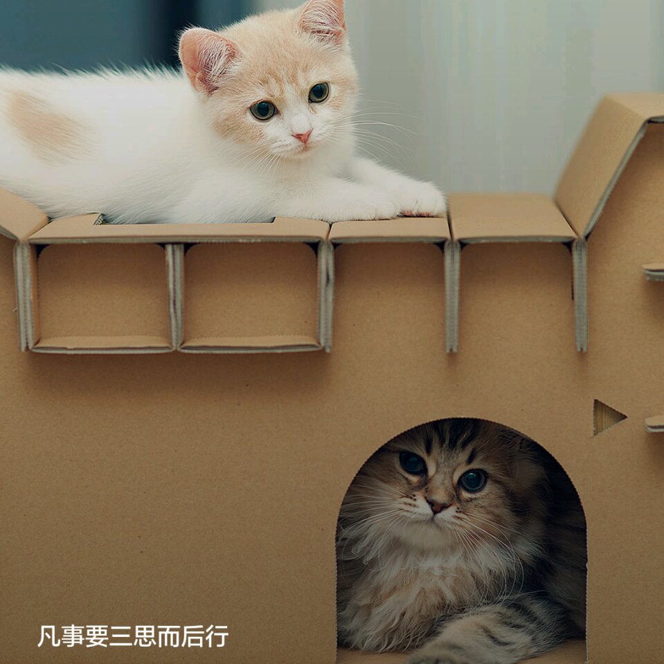 用戶頭像