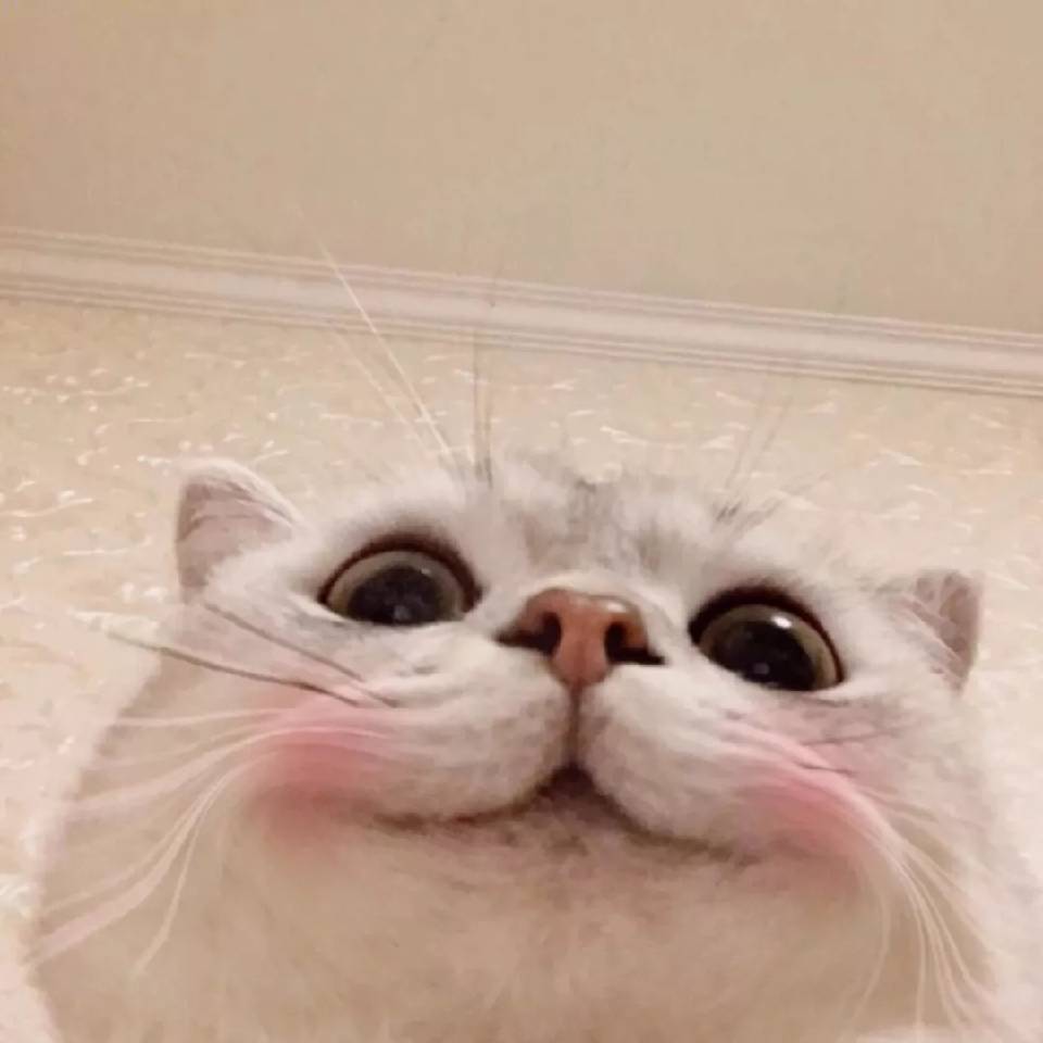 用戶頭像