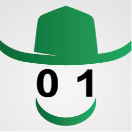 绿帽子安全团队