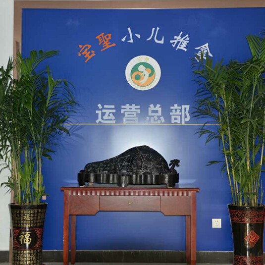 医药高新区宝聖小儿推拿经营部