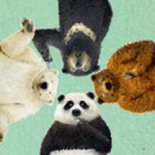 咕噜熊聚方绘本馆