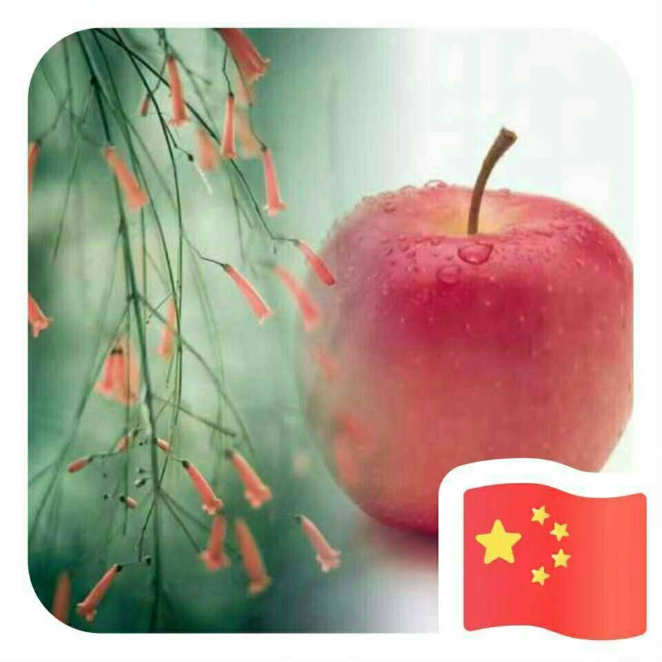 用戶頭像