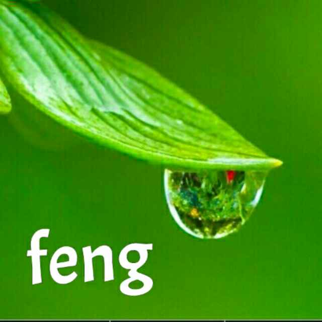 feng