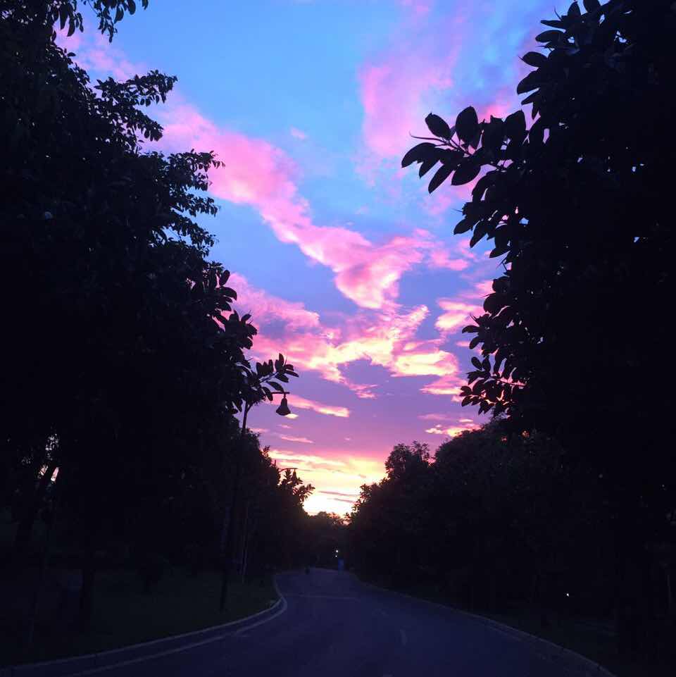 夕阳红