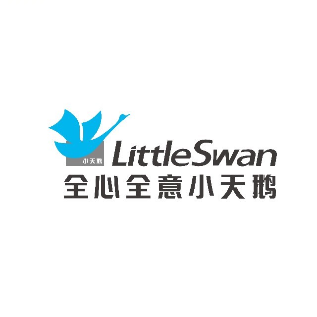 全心全意小天鹅