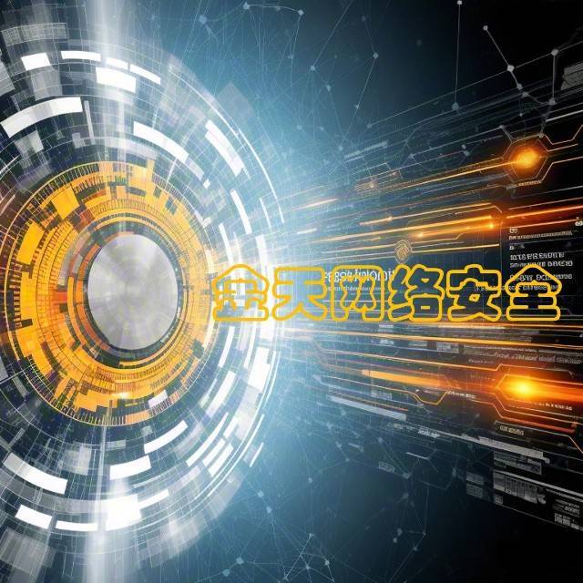 金天的网络安全