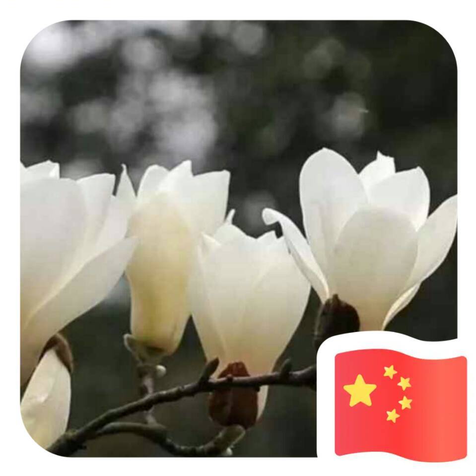 用戶頭像