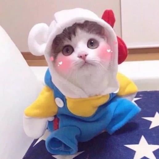 用戶頭像
