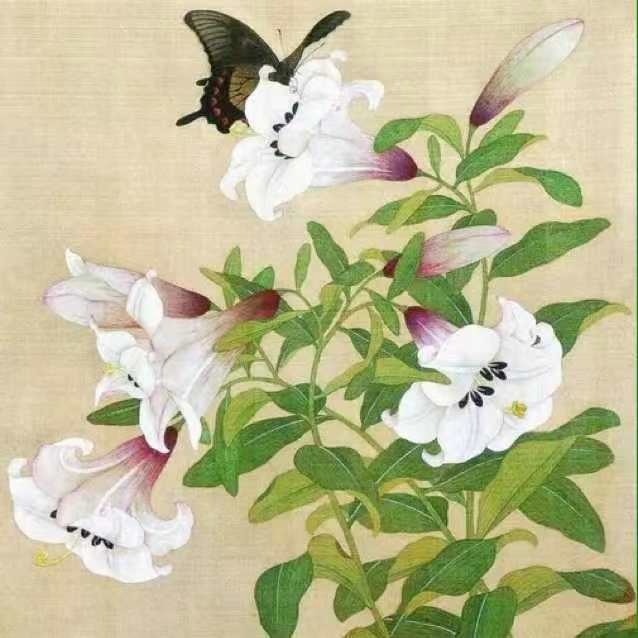 用戶頭像