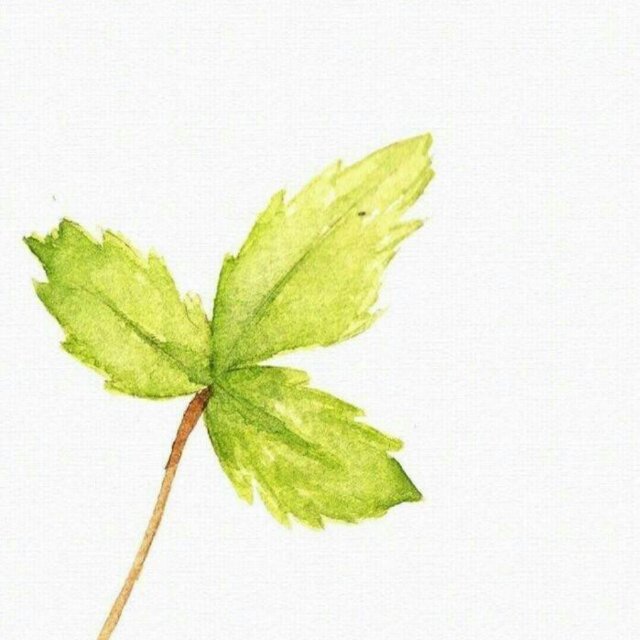 书友20170714211045