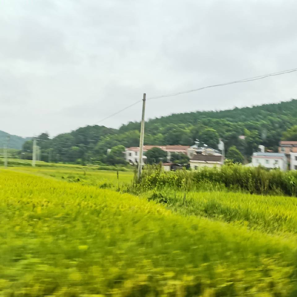 用戶頭像