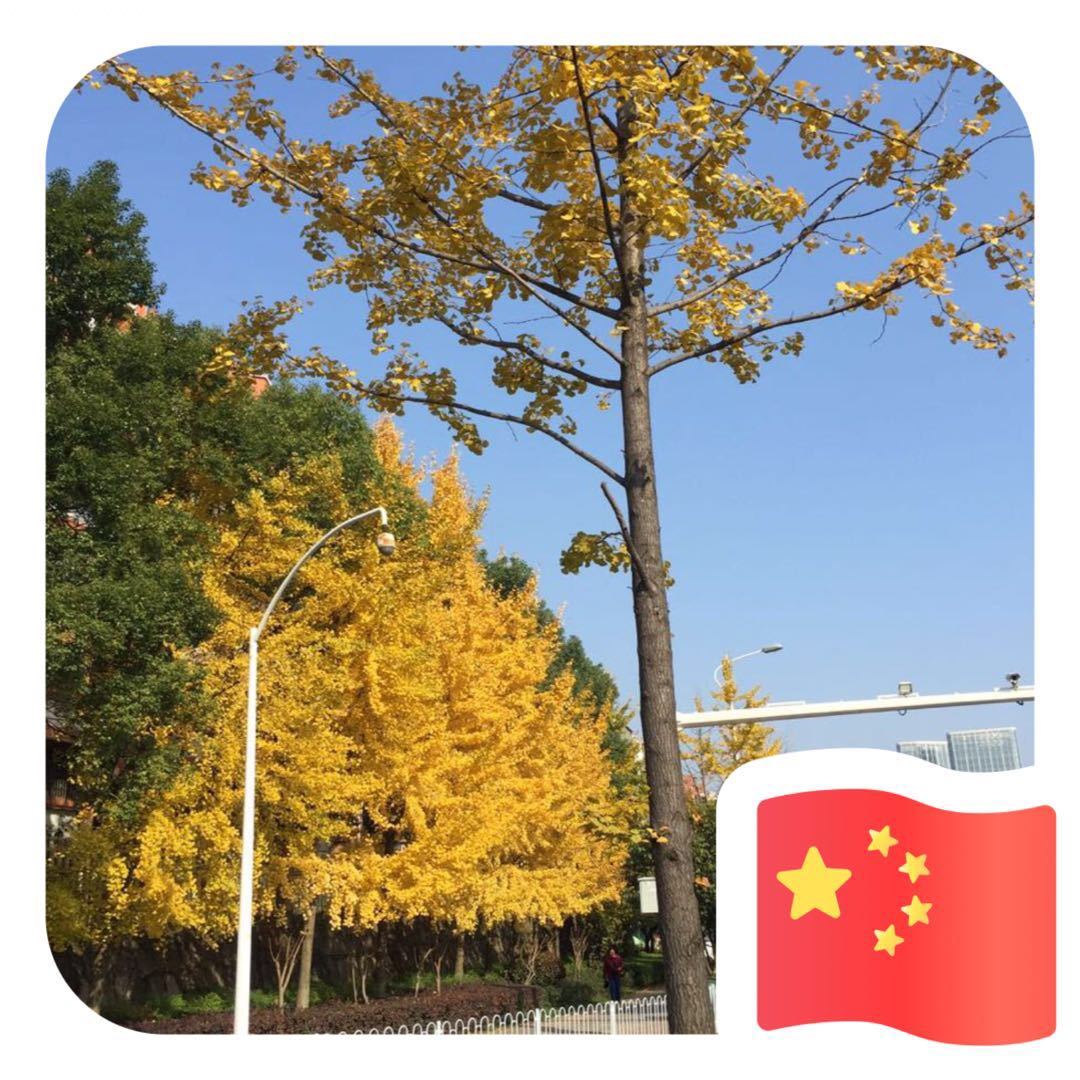 用戶頭像