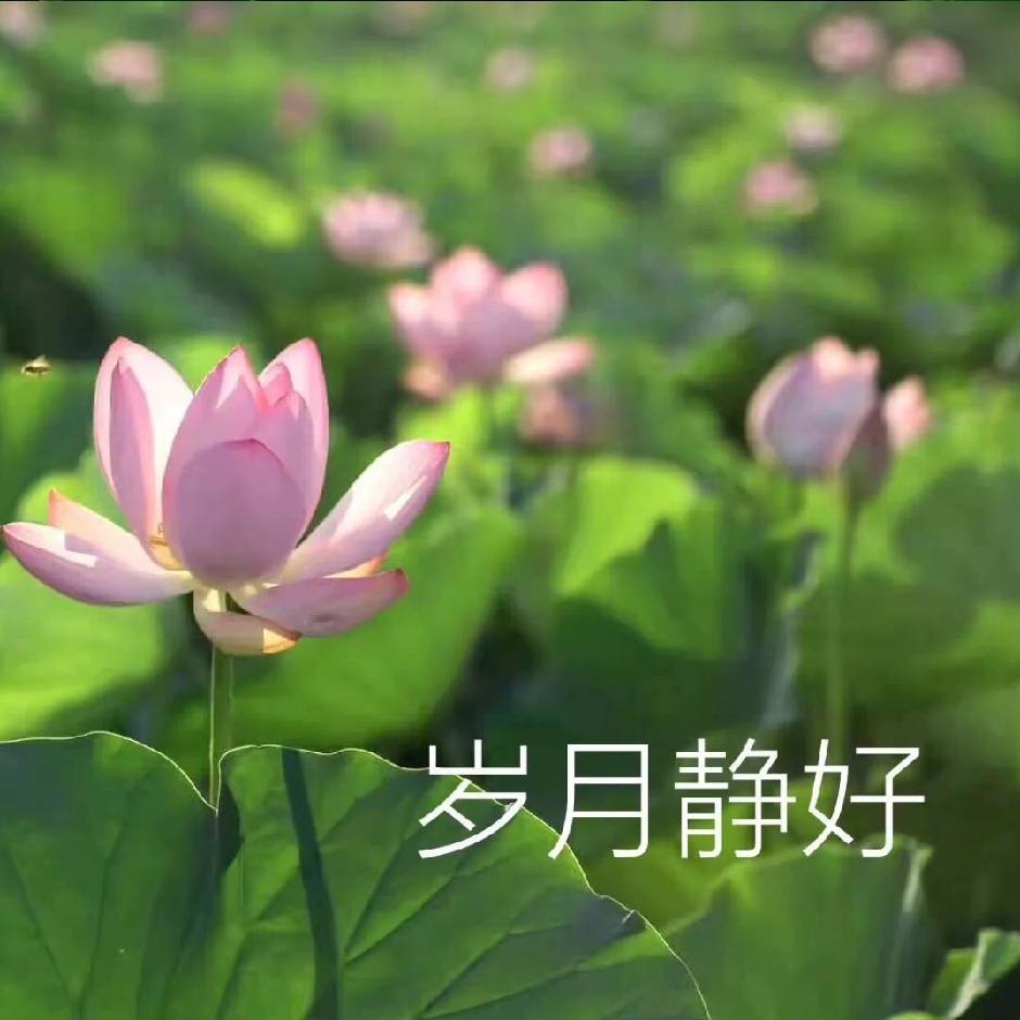 用戶頭像