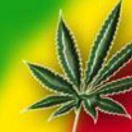 用戶頭像