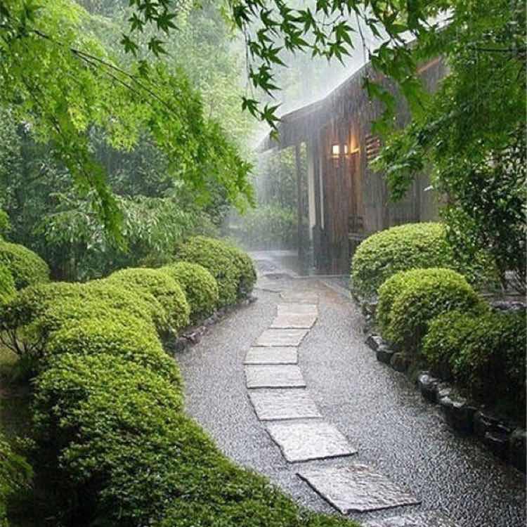 老古