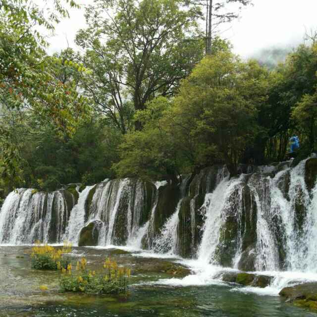 顺其自然，69009