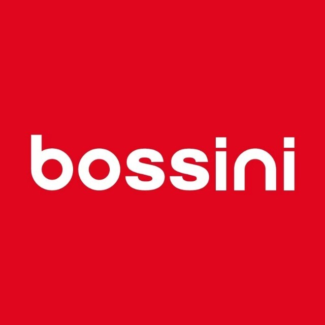 堡狮龙 bossini.X
