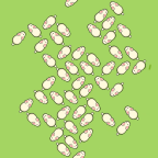 全能小玩家 Logo