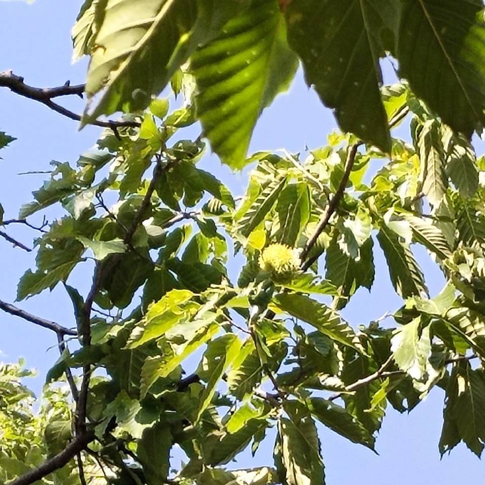 用戶(hù)頭像