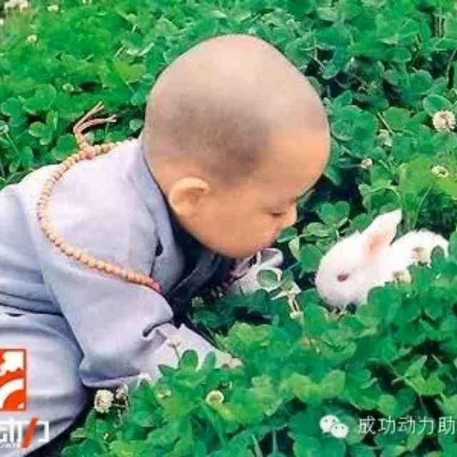 姜财顺，姜平
