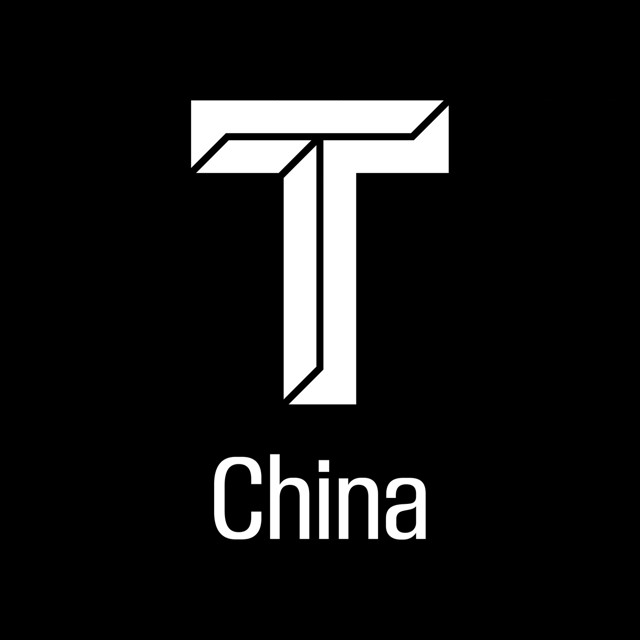 T 中文版