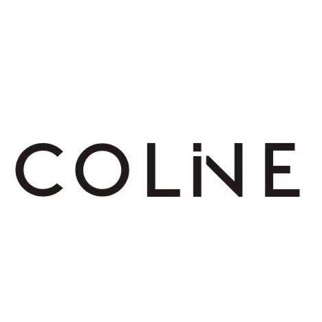 COLNE-新中国Ｃ519档