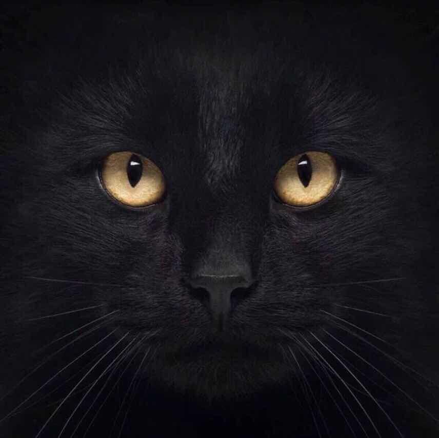 W&M制造 【坚持原版制造】