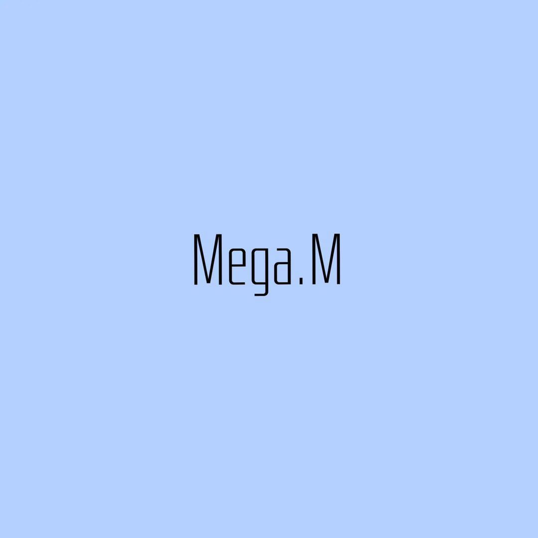 Mega.M 5楼C547