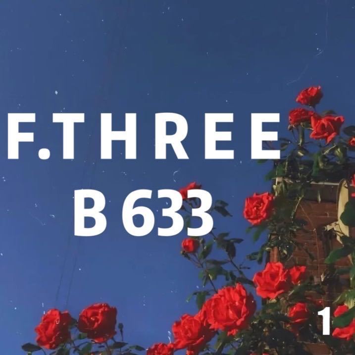 F.THREEANHUI三姐妹-B650