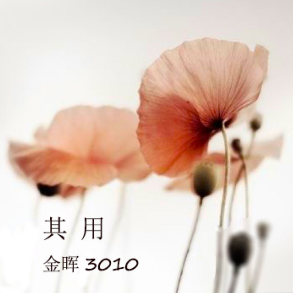 深圳金晖大厦其用展厅（三楼3010）