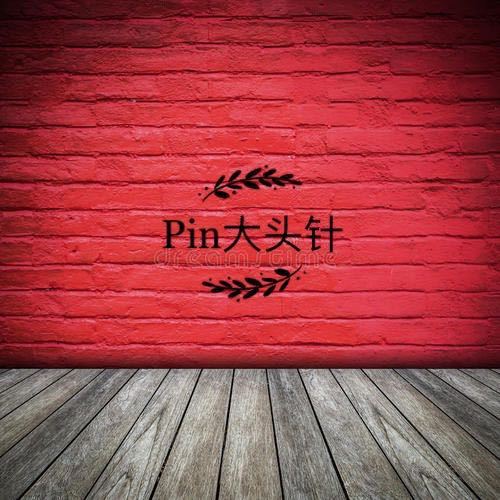 A??Pin大头针 6楼C679 阿凤