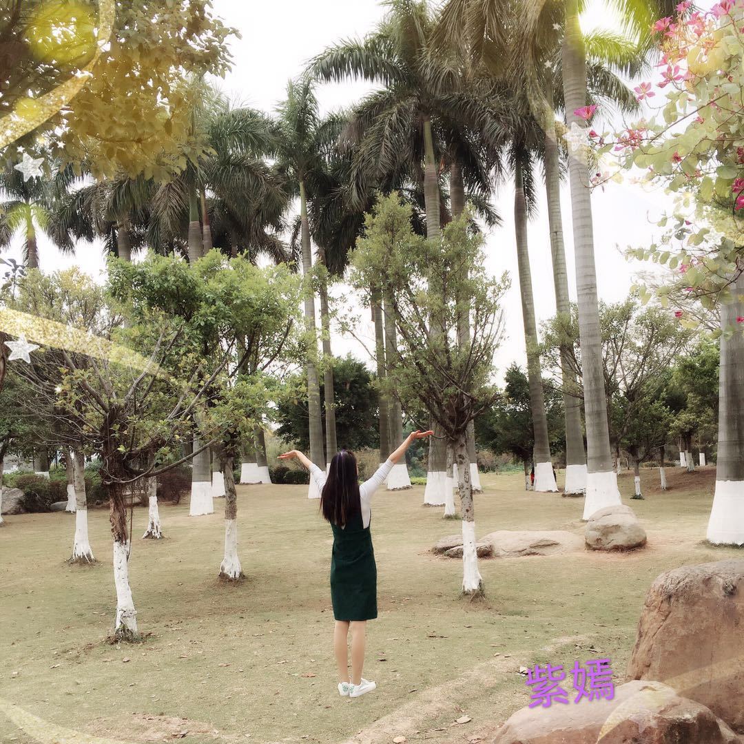 紫嫣-南城一楼C251档