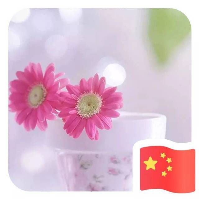用戶頭像