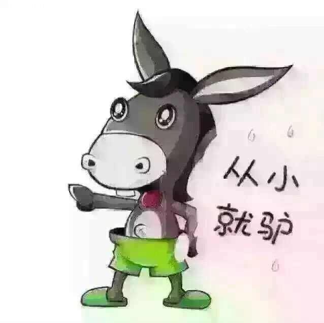 王小驴儿