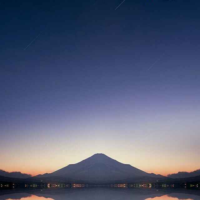 小海豚_29190594