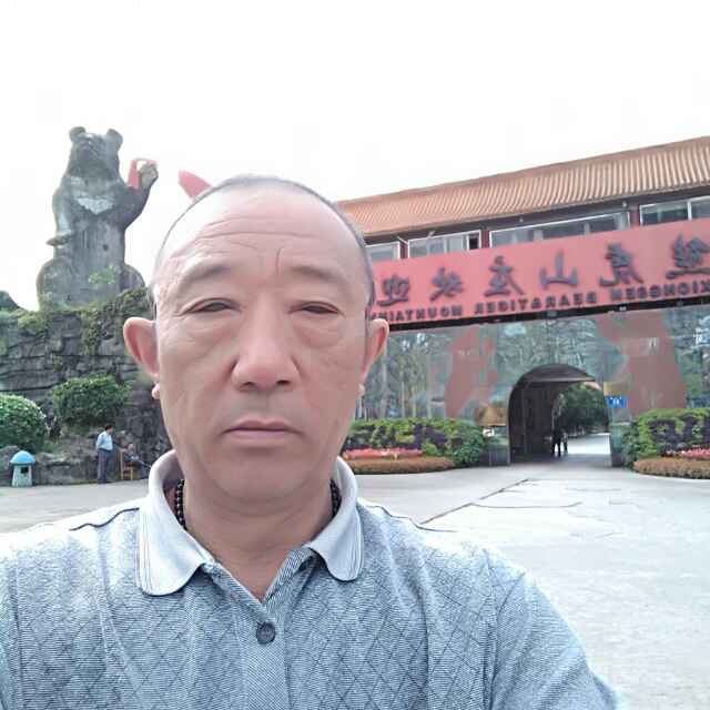 小海豚_34396931
