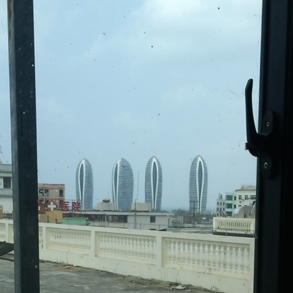 小海豚_29161663