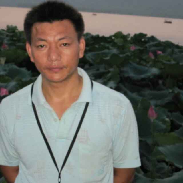 小海豚_32032803
