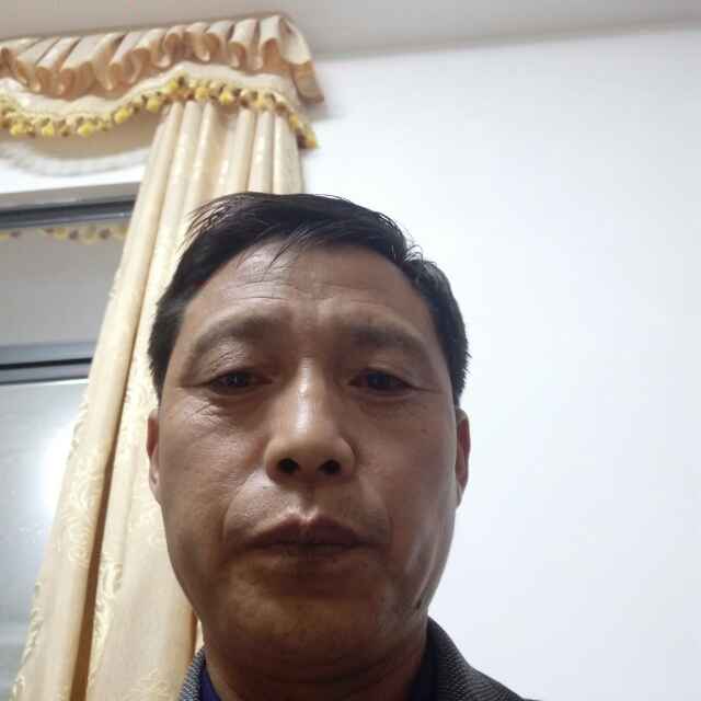 小海豚_23799090