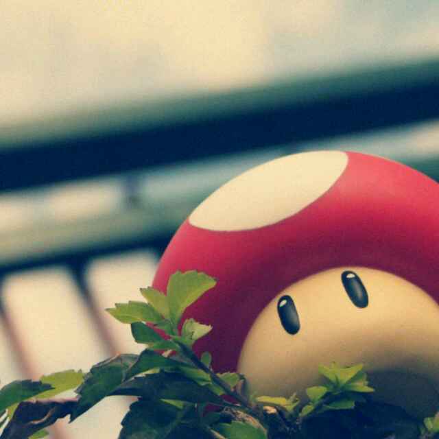 筱玥仁荼荼