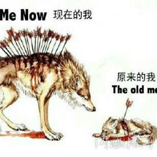 头像图片