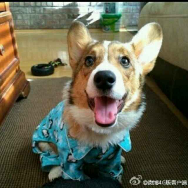 爱的痕迹