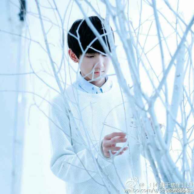 小精灵。