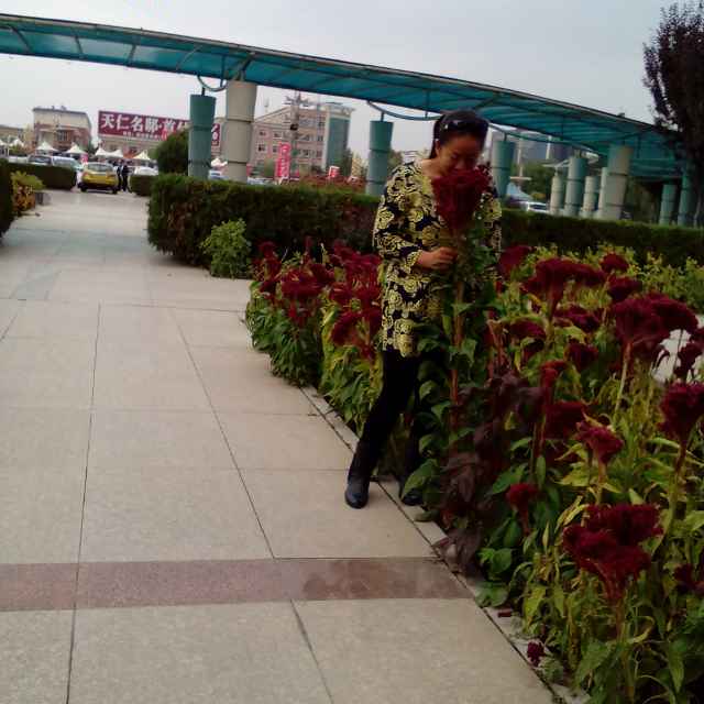 书友20160608135512
