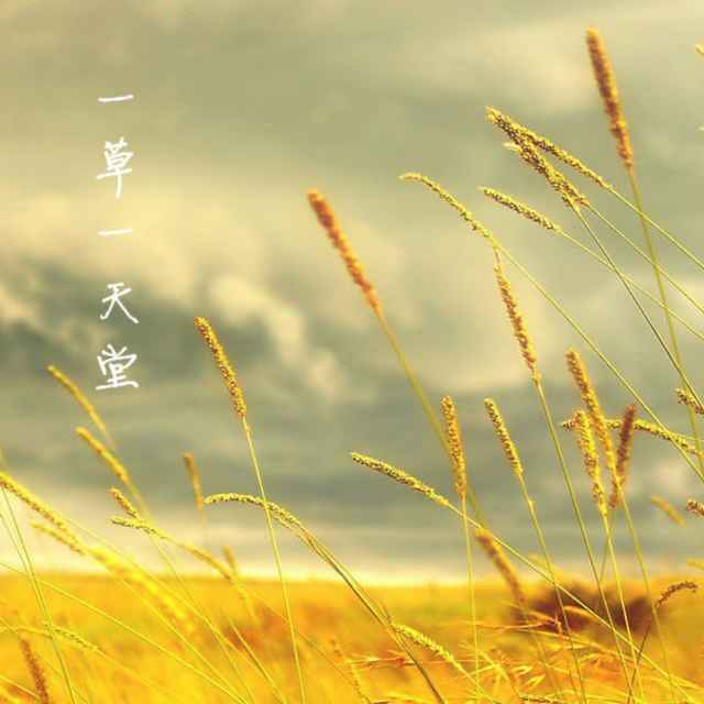 光明