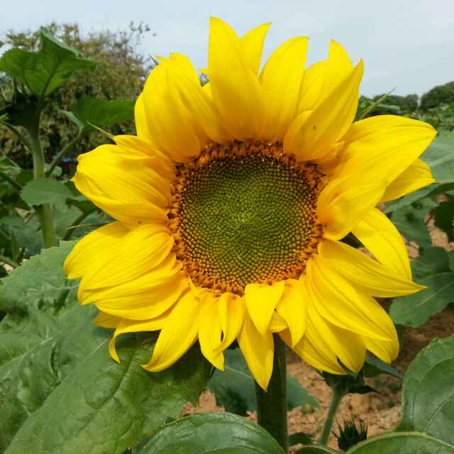 书友20160817170555