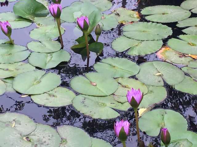 书友20160403110405